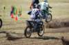 dsc05485_small.jpg