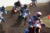 dsc05519_small.jpg