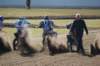 dsc05527_small.jpg