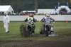 dsc08396_small.jpg