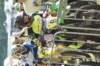 dsc08734_small.jpg