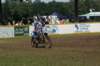 dsc04395_small.jpg