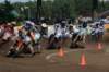 dsc04398_small.jpg