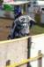 dsc04411_small.jpg
