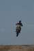 dsc03546_small.jpg